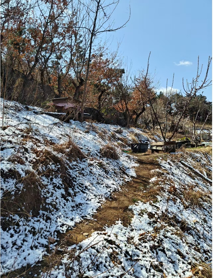 3.29又下了一场小雪